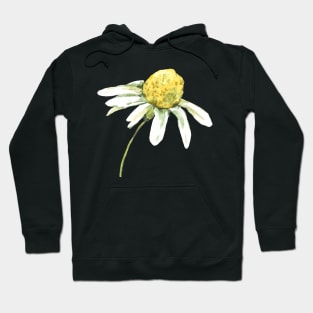 Chamomile Watercolor Hoodie